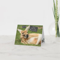 Christmas card from Australia; kangaroo