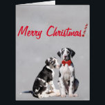 Christmas Card Great Great Danes<br><div class="desc">A Christmas Card featuring harlequin Great Danes.</div>