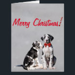 Christmas Card Great Great Danes<br><div class="desc">A Christmas Card featuring harlequin Great Danes.</div>