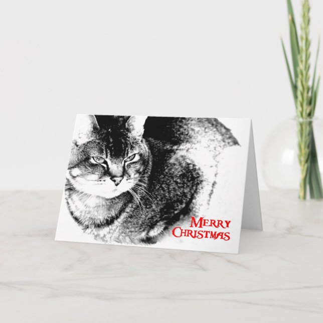 Christmas Card - Half-Burmese Cat (Front)