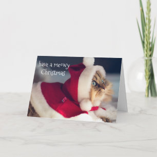 Christmas Card - Have a Meowy Christmas