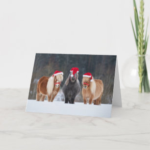 Christmas Card - Horse Lovers