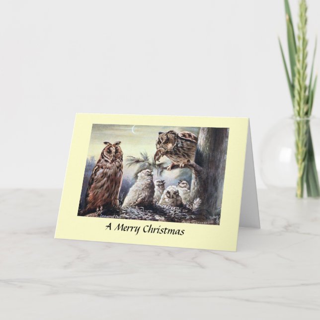 Christmas Card - Long-Eared Owls (Front)