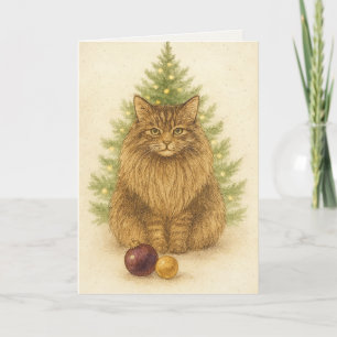 Christmas Card – Maine Coon Cat