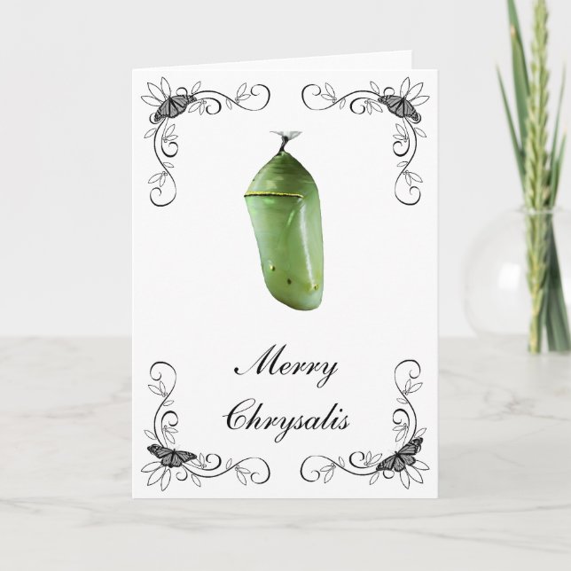 Christmas Card Merry Chrysalis (Front)