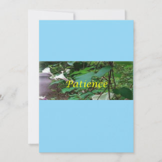 Christmas card patience