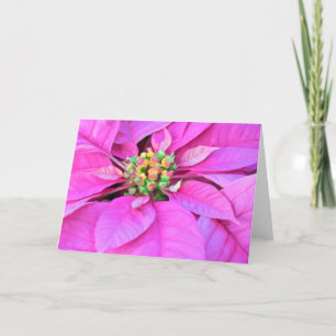Christmas Card - Pink Poinsettia