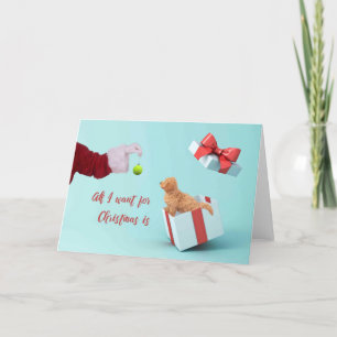 Christmas Card Puppy