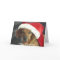 Christmas Card - Santa Dachshund