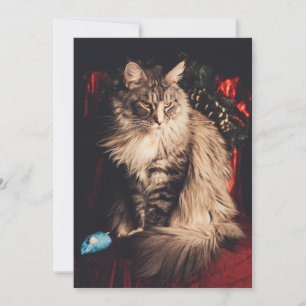 Christmas Card Smilla V1