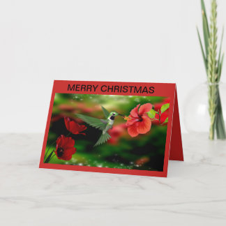 Christmas Card with a Hummingbird