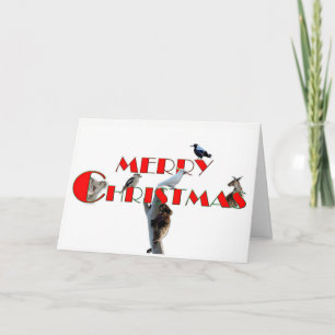 Christmas Card with Australian Animals