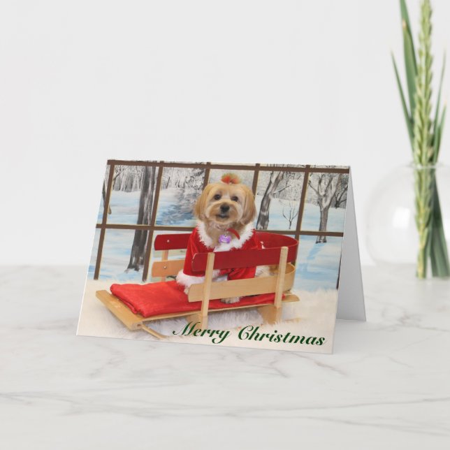 Christmas Card with Joey (Front)