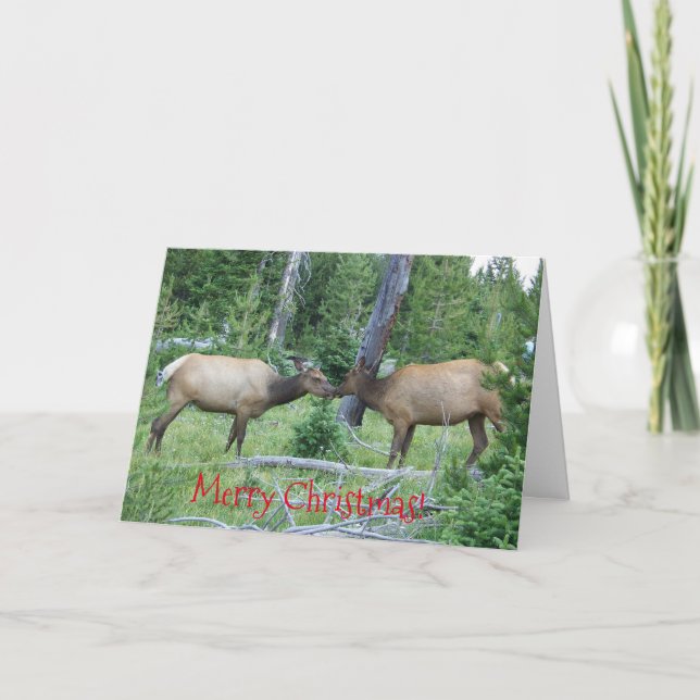 christmas card with Yellowstone elk (Front)