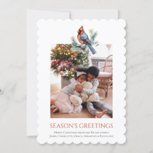 Christmas Cardinal Bird Photo Template