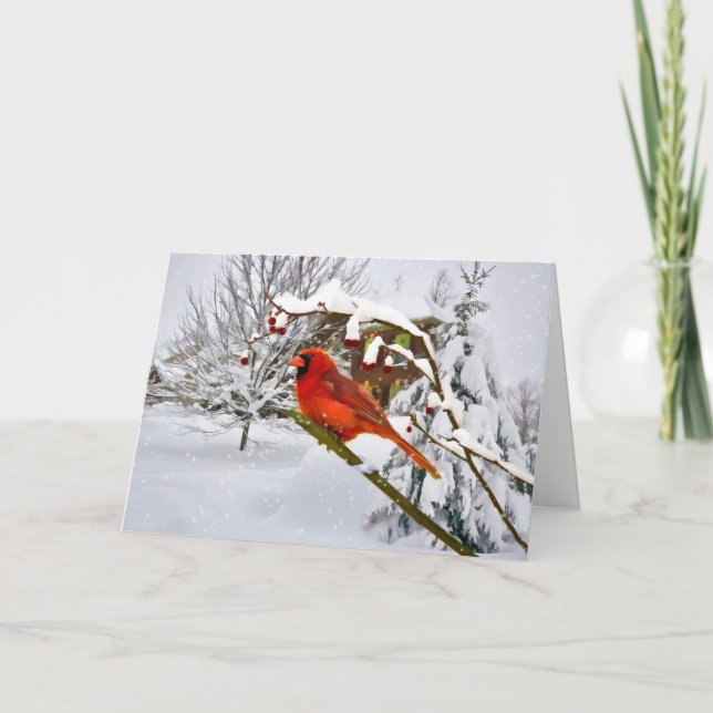 Christmas,  Cardinal Bird, Snow, Card (Front)