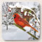 Christmas,  Cardinal Bird, Snow, Cork Coaster