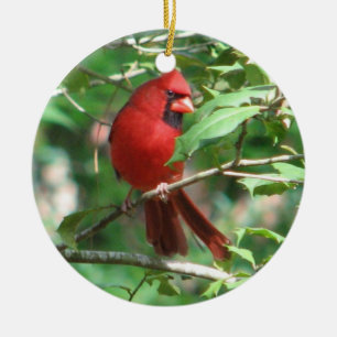 Christmas Cardinal Ceramic Tree Decoration