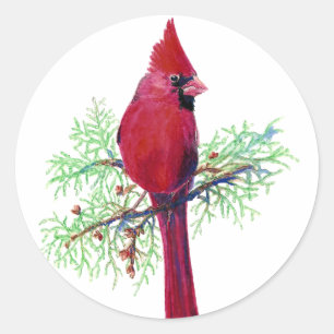 Christmas Cardinal Classic Round Sticker