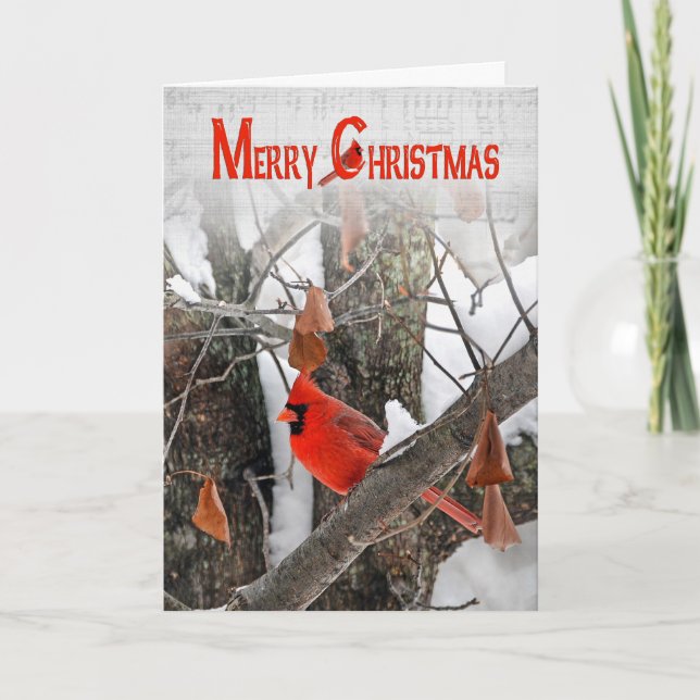 Christmas Cardinal in tree Holiday Card (Front)