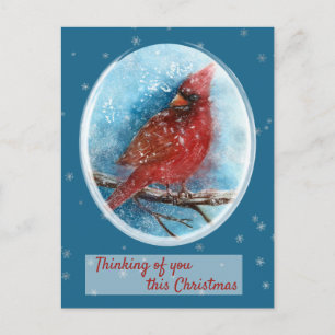 Christmas Cardinal Thinking of you Holiday Postcard