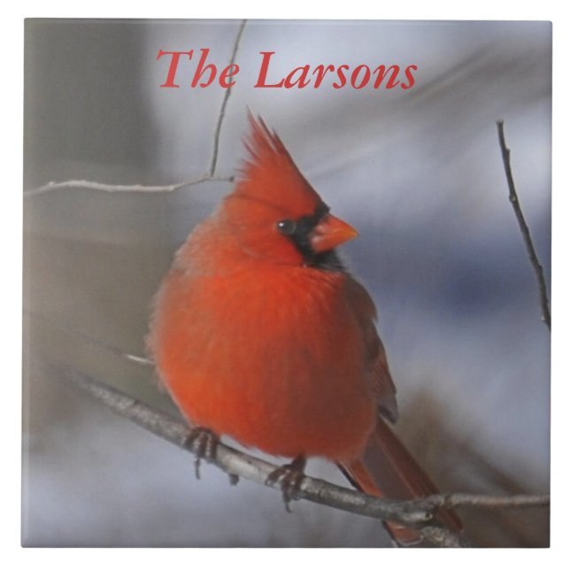 Christmas Cardinal Tile (Front)