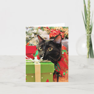 Christmas - Cat - Bentley Holiday Card