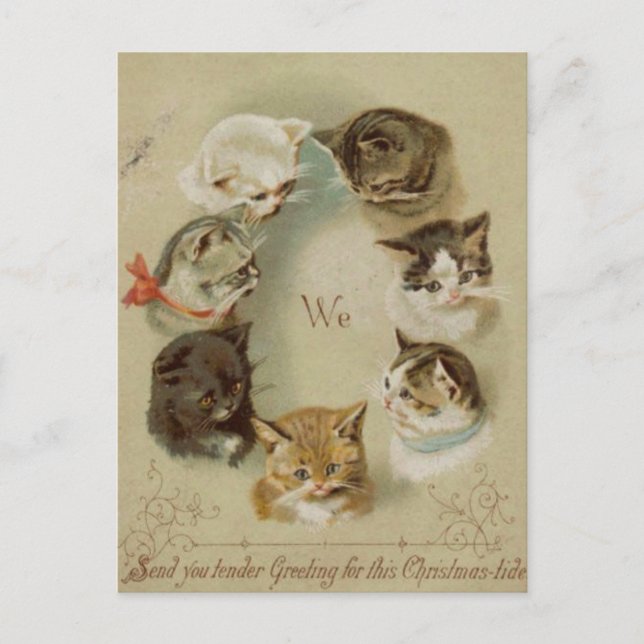Christmas cat card (Front)