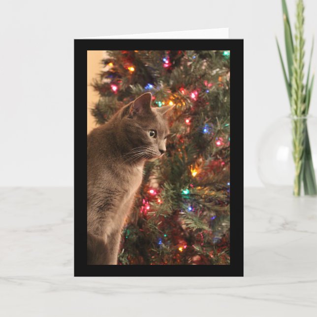 Christmas Cat card (Front)
