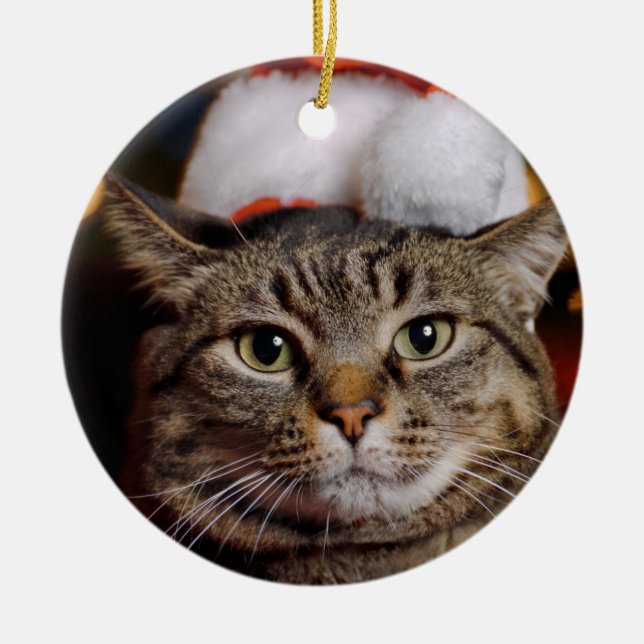 Christmas Cat Ceramic Tree Decoration (Front)
