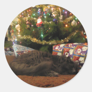 Christmas Cat Classic Round Sticker