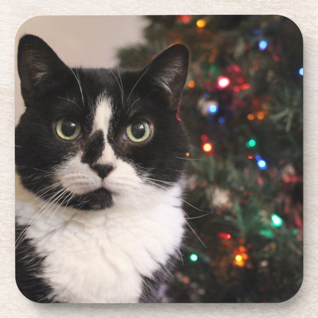 Christmas cat coaster (Front)