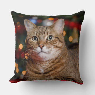 Christmas Cat Cushion