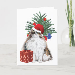 Christmas Cat Holiday Card