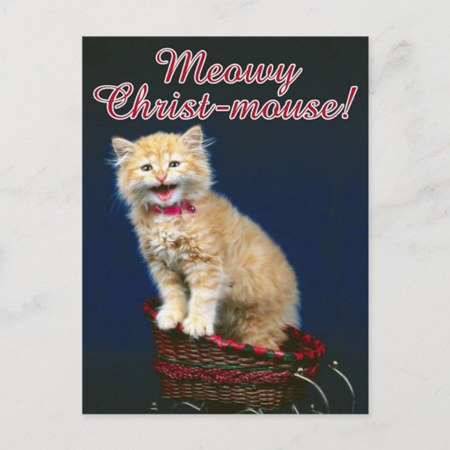 Christmas Cat Holiday Postcard (Front)
