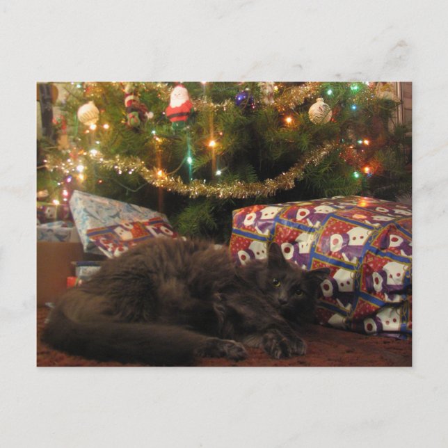 Christmas Cat Holiday Postcard (Front)