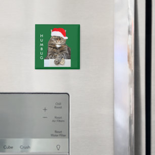 Christmas Cat Humbug Photo with Santa Hat Magnet