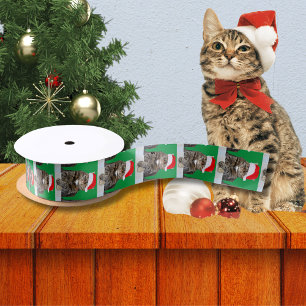 Christmas Cat Humbug Photo with Santa Hat Satin Ribbon