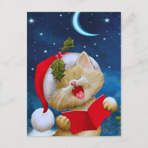 Christmas Cat in night Holiday Card