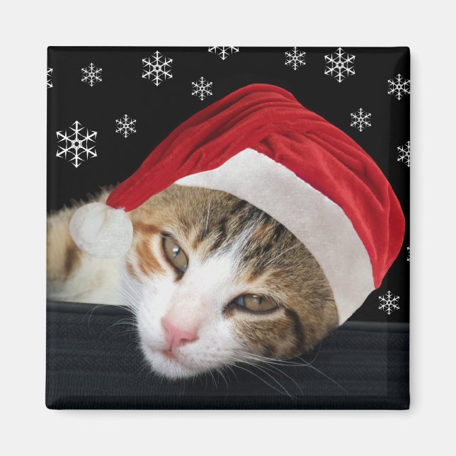 Christmas Cat Magnet (Front)