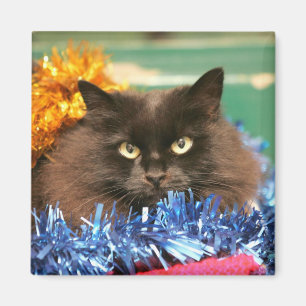Christmas Cat Magnet