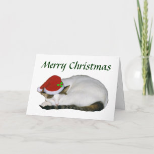 Christmas Cat Nap Card