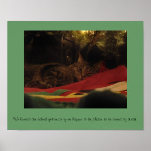 Christmas Cat Poster