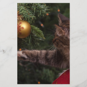 Christmas Cat Stationery