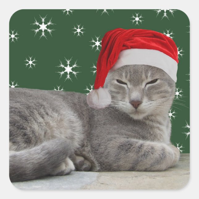Christmas Cat Stickers (Front)