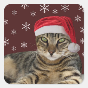 Christmas Cat Stickers