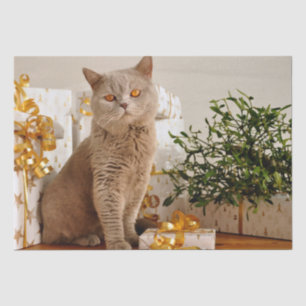 christmas cat tissue paper