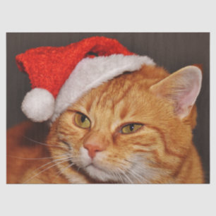 Christmas cat tissue paper