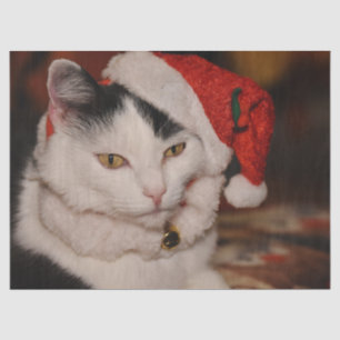 Christmas cat tissue paper