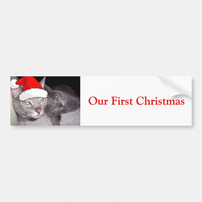 Christmas Cats Bumper Sticker (Front)